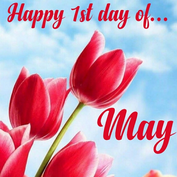 🦋Happy Memorial Day🌺Wishing U Many Sales🛍🦋💯🌻 - Picture 11 of 16